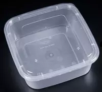 Пластиковый контейнер с прозрачной крышкой