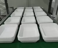 Пластиковые лотки под запайку или вакуумную упаковку