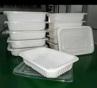 Пластиковые лотки