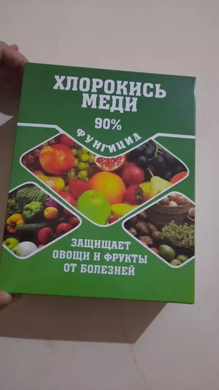 МИС ХЛОРОИДИ Ulgurji va chakana