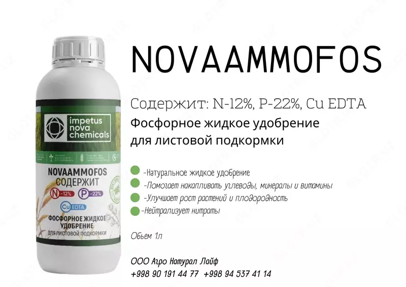 Cu EDTA Фосфорли суюк угит баргдан озиклантириш учун