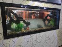 Чистка аквариумов