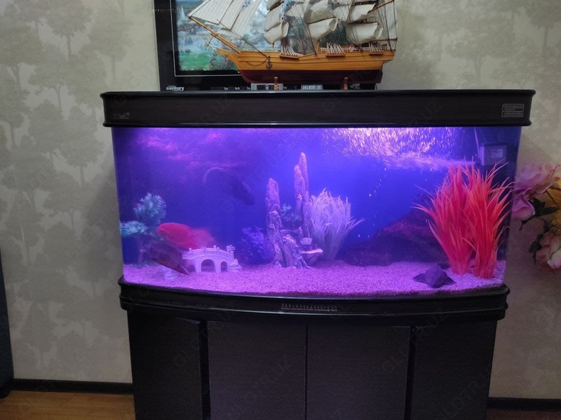 Чистка аквариумов - по запросу