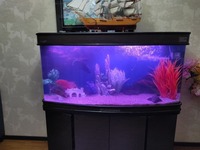 Чистка аквариумов - по запросу