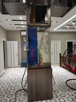 Цена по запросу Чистка аквариумов