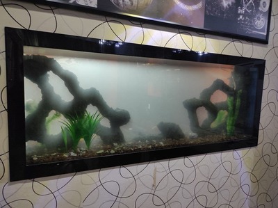 Обслуживание аквариумов