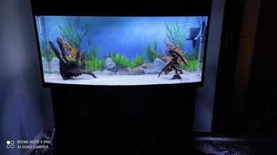 Цена по запросу Обслуживание аквариумов