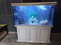 по запросу Запуск аквариумов