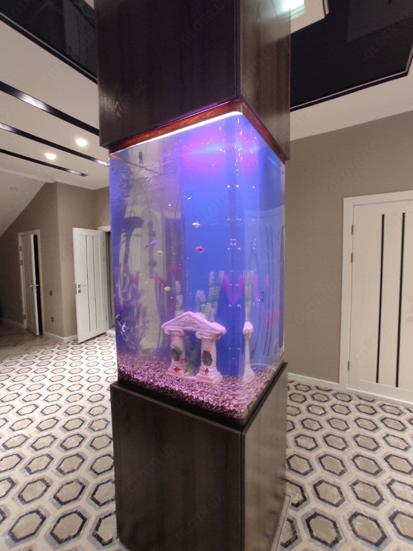 Akvariumlar uchun aksessuarlar va jihozlarni tanlash