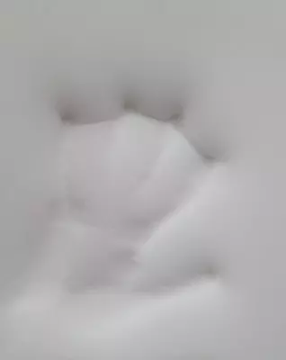 Xotira ko'pikli VE 3015 oq (xotira)