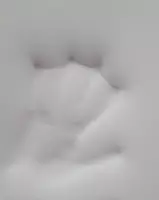 Поролон с эффектом памяти VE 3015 белого цвета (мэмори)