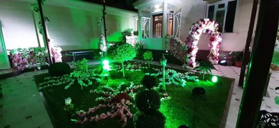 Услуга по оформлению дней рождений - Цена по запросу