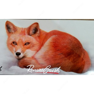 Narx so&#039;rov asosida Yorqin havo cho'tkasi