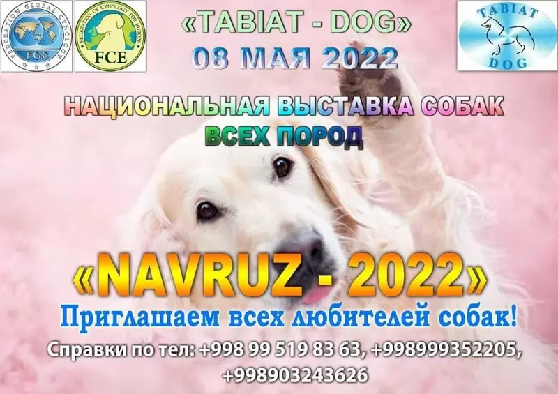 Национальная выставка собак