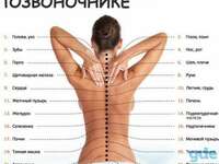  Оздоровительный Массаж в Ташкенте - 