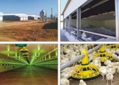 Птичник и Птицекомплекс (оцинкованный профиль) "Производство Россия" - Цена по запросу