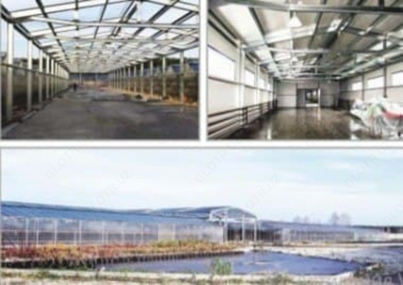 Meva saqlash va galvanizli profillarga asoslangan issiqxona majmuasi - по запросу