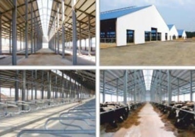 Животноводческий комплекс на 1200 голов (общ. площадь 19160 м2)"Производство Россия"