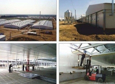 Свинокомплекс (оцинкованный профиль) "Производство Россия"