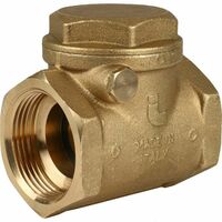 TDS Обратный клапан 1 1/4