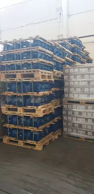 Цена по запросу Электродвигатели всех модификаций