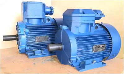 Взрывозащищенный двигатель - Цена по запросу