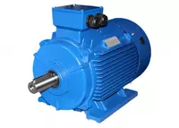 Промышленный электродвигатель (лапы) АИР 180М2 (1081)