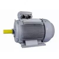 Elektr dvigatel AIR160S8 7