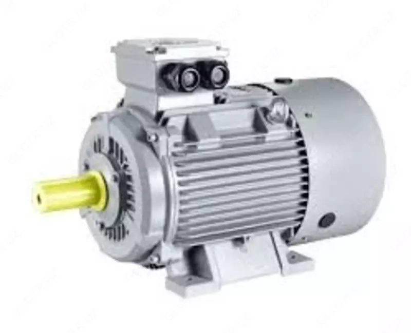 Электродвигатель АИР225M4 55 кВт 1500 об/мин IM-1081