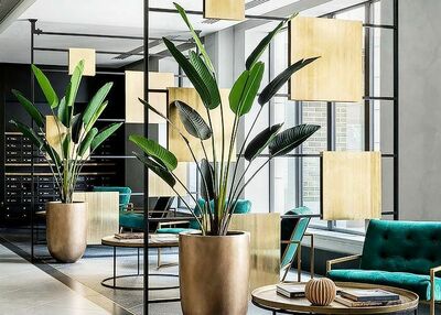 Ofis o'simliklarini parvarish qilish xizmati