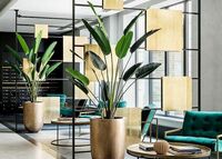 Ofis o'simliklarini parvarish qilish xizmati