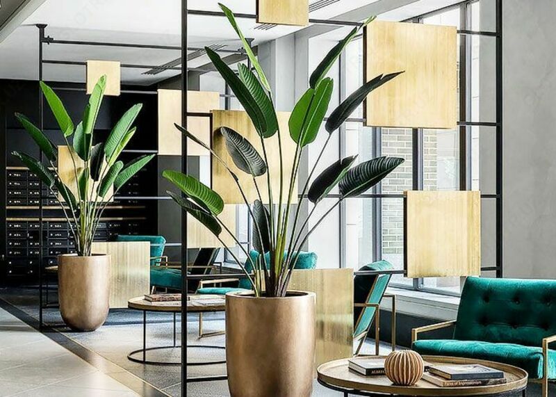 Ofis o'simliklarini parvarish qilish xizmati