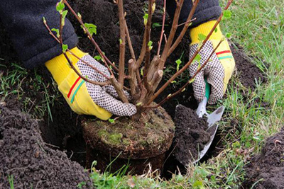 Ekish xizmati - Narx so&#039;rov asosida