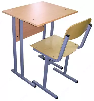 Bir kishilik maktab partalari