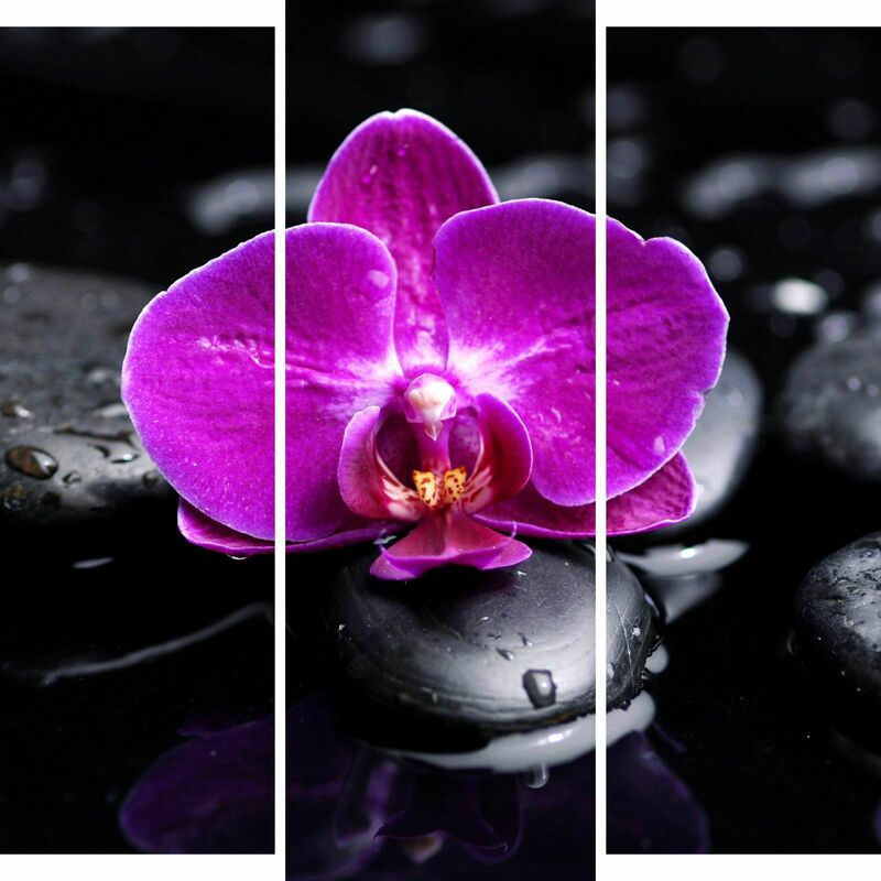 Модульные картины в Ташкенте