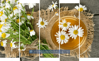 Модульная картина из стекла