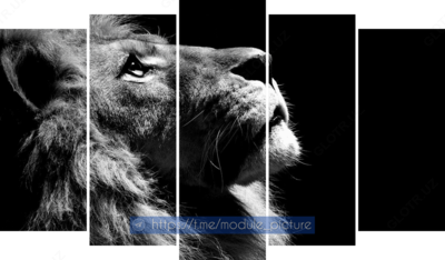 Модульная картина из стекла