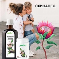 Echinacea siropi Shveytsariya Nahrin