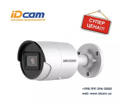 Видеокамера Hikvision DS-2CD2043G2-I