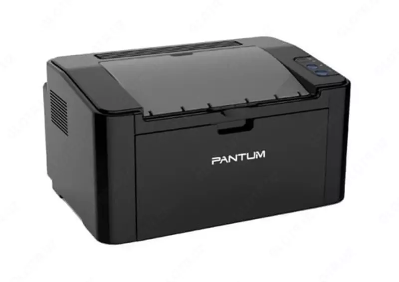 Pantum - P2516 (A4  32Mb  22 стр/мин  600dpi  USB2.0  лазерный)