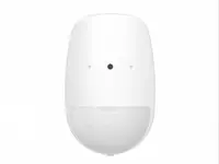 DS-PDPG12P-EG2-WB(Движение+Разбитие)