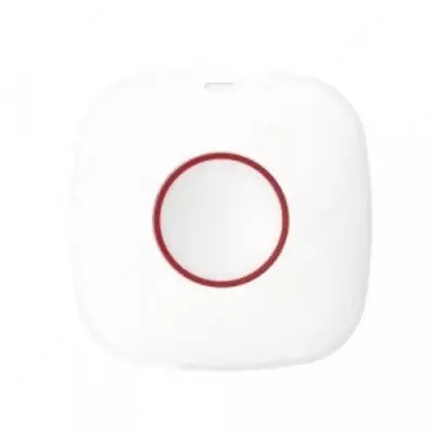 DS-PDEB1-EG2-WB(Тревожная кнопка)