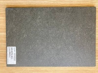 HPL ARPA Cryptic Grey 6 mm