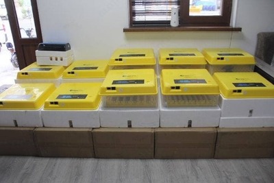 Инкубатор Только в розницу