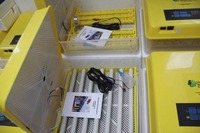 Inkubator - AllStar-Uzbek-Xitoy savdo uyi