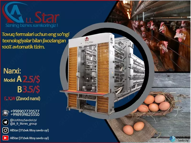 Tovuq fermalari - по запросу