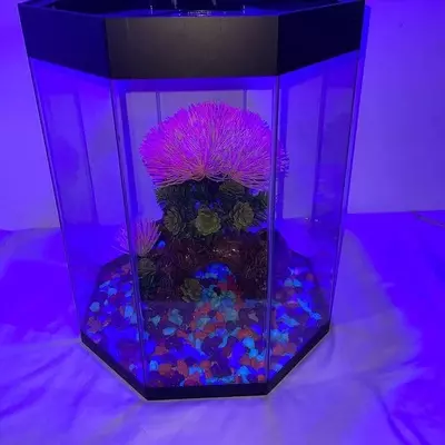 Аквариум арт01 - Цена по запросу