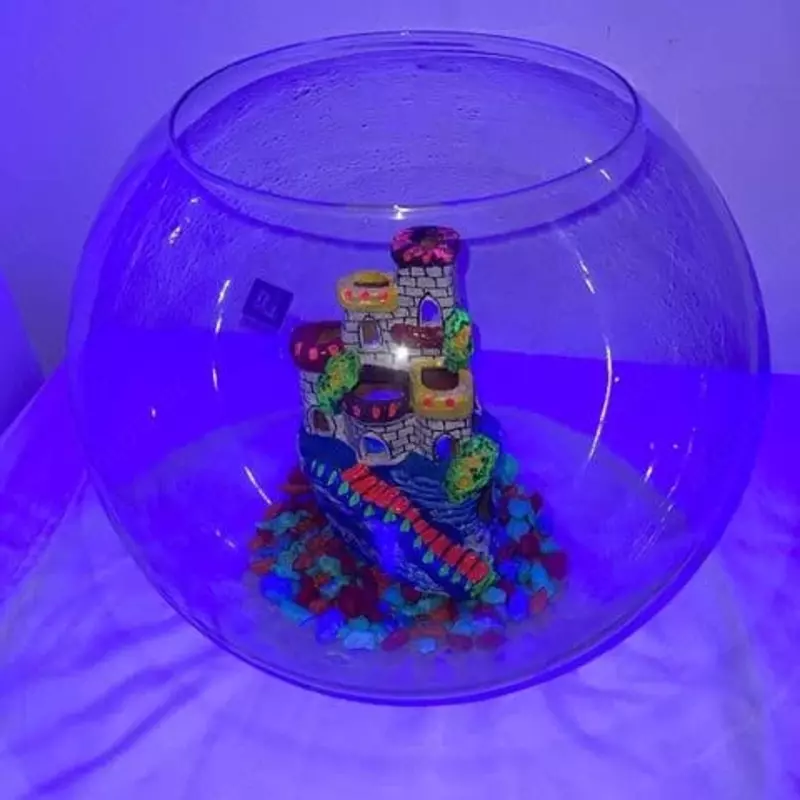 Аквариум арт02 - по запросу