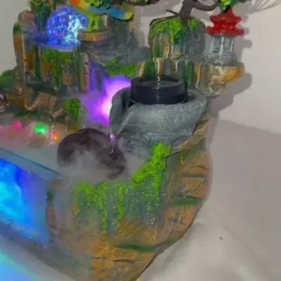 Аквариум арт03