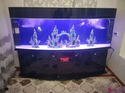 Аквариум арт12